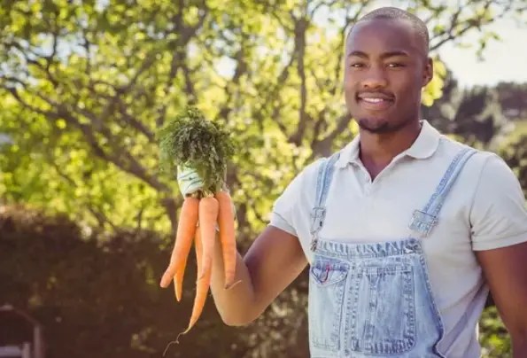 Improve The Health Of Men By Eating Carrots